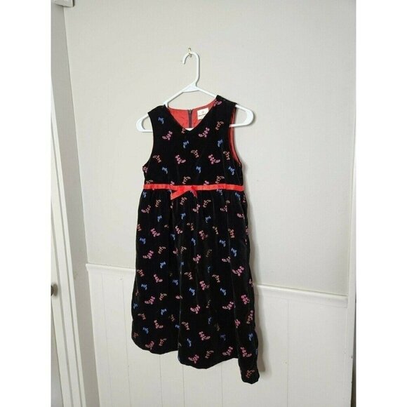 HANNA ANDERSSON Velvet Floral Dress - Picture 1 of 3